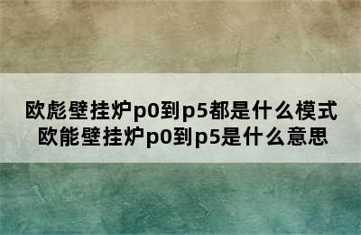 欧彪壁挂炉p0到p5都是什么模式 欧能壁挂炉p0到p5是什么意思